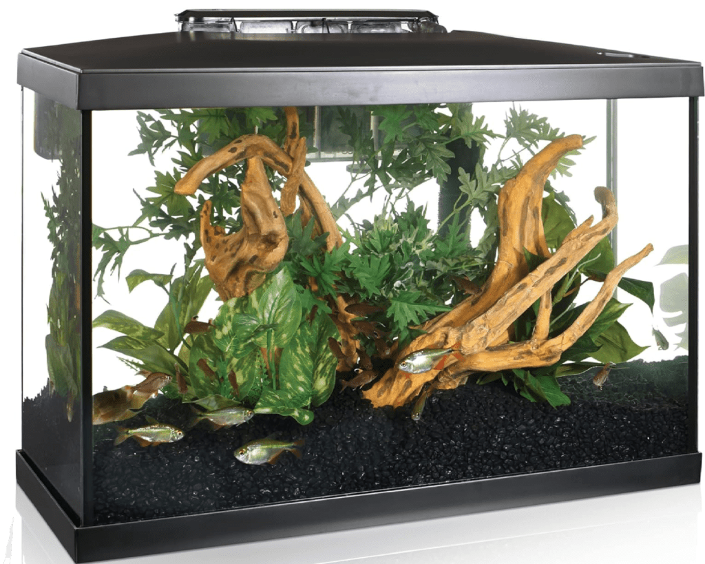 20 Gallon Marina LED Aquarium Kit